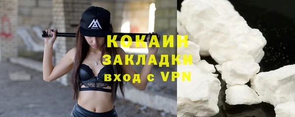 спайс Гусев