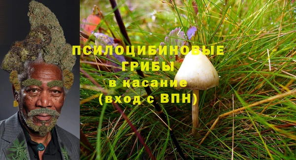 винт Дмитровск