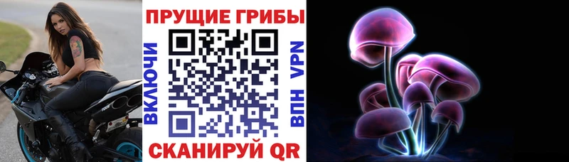Псилоцибиновые грибы прущие грибы  наркотики  Кудрово 
