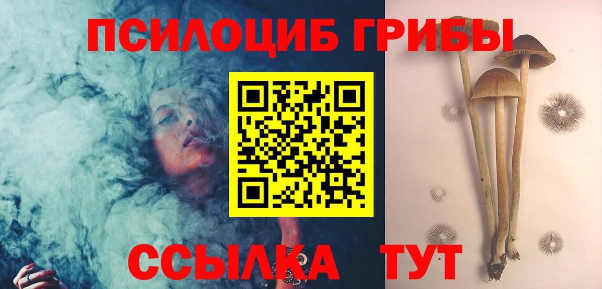 Галлюциногенные грибы GOLDEN TEACHER Кудрово