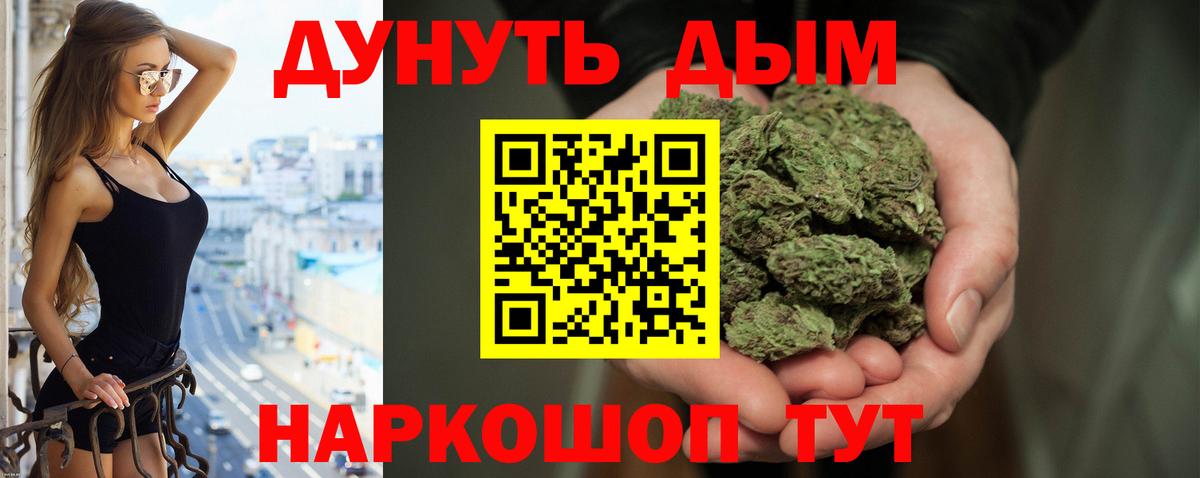 Кудрово  Конопля план  Марихуана конопля  Канабис SATIVA & INDICA  Шишки марихуана планчик  Вход с VPN 